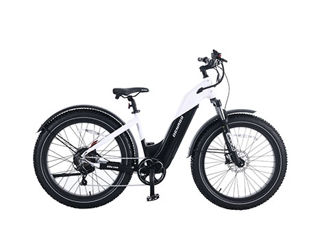 DENAGO FAT TIRE STEP-THRU EBIKE
