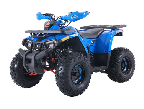 DENAGO MUDHAWK 10 FI ATV